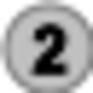 Silver medal icon.svg