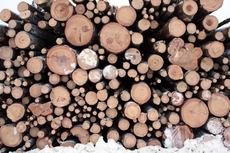 Fil:Logging in Finnish Lapland.jpg