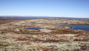 Dagalifjell Löytetjönn vestre 1203 masl store 1206 mosl IMG 1253.JPG