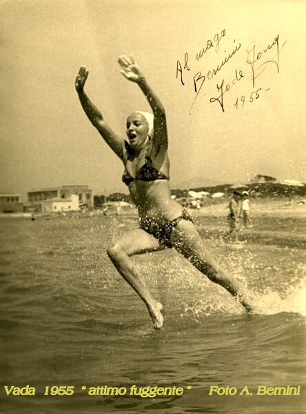 Fil:Vada tuffatrice.jpg