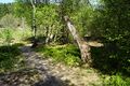 Miniatyrbilde av versjonen fra 22. jun. 2026 kl. 05:20