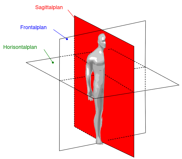 Fil:Human anatomy planes-no.svg
