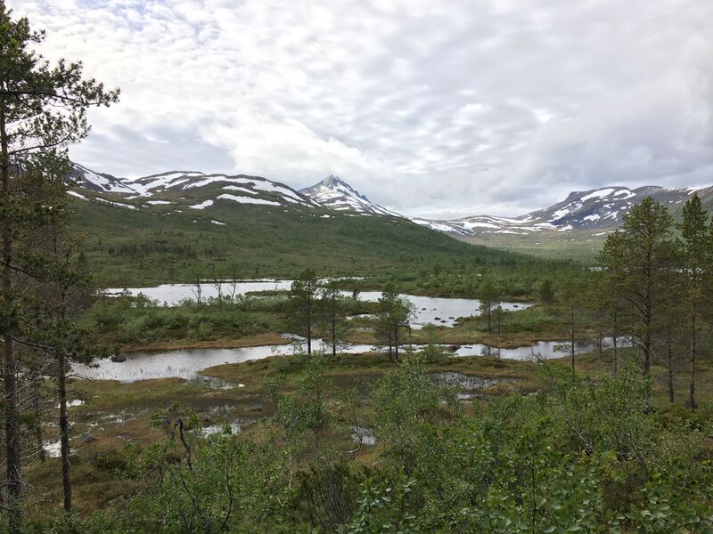 Fil:Ånderdalen nasjonalpark 3.jpg