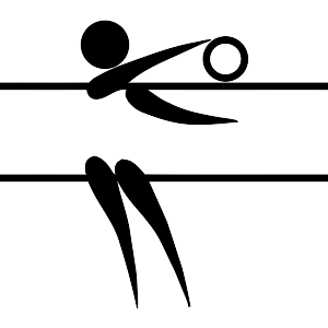 Fil:Volleyball (indoor) pictogram.svg