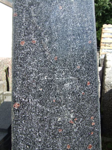 Fil:Gneiss-rødspett.jpeg