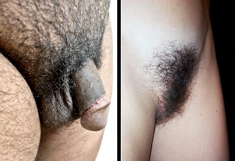 Fil:Male and female public hair.jpg