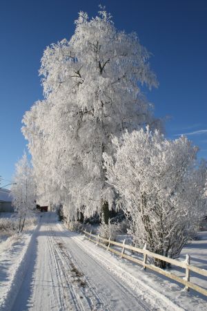 Winter in Norway2.jpg