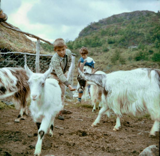 Fil:1960 Urdviki Geiter.jpg