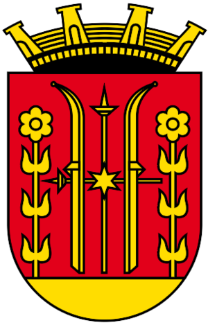 Skien komm.svg